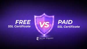 Free vs. Paid SSL Certificate