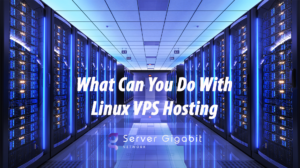 What Can You Do Wth Linux VPS Hosting