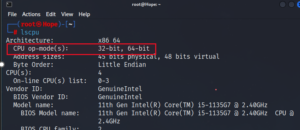 Find Linux 32-bit or 64-bit
