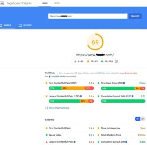 Google PageSpeed Insights data report
