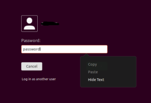 Image showing empty password box and connect button.