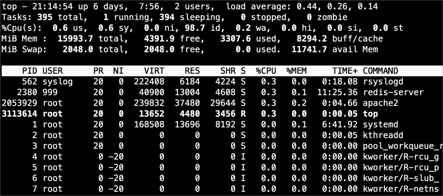 5 Commands to Check Memory Usage in Linux in 2023