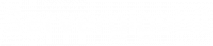Servergigabit white logo